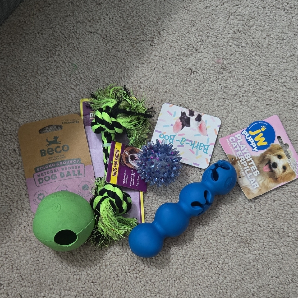 Green and Blue Dog Toy Set